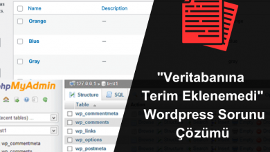 Veritabanına Terim Eklenemedi Wordpress Sorunu Çözümü